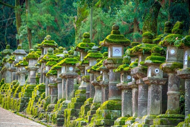 Explore the Best Spots of Arashiyama / Nara in a One Day Private Tour From Kyoto - Arashiyama Attractions