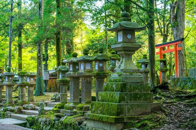 Explore the Best Spots of Arashiyama / Nara in a One Day Private Tour From Kyoto - Nara Attractions