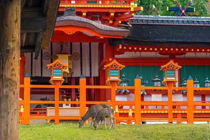 Explore the Best Spots of Arashiyama / Nara in a One Day Private Tour From Kyoto - Reviews and Ratings