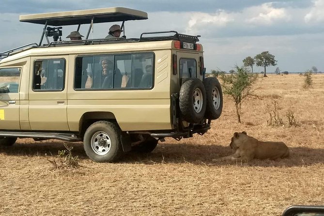 Explore the Big 5 Tanzania Safari 4 Days / 3 Nights - Safari Activities Included