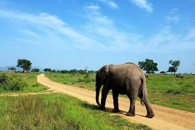 Explore the Big 5 Tanzania Safari 4 Days / 3 Nights - Booking Information