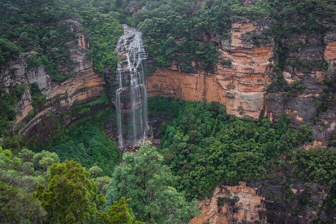 Explore The Blue Mountains with your local guide - Full Day Tour - An In-Depth Look at the Blue Mountains Tour