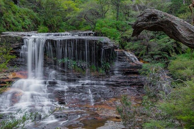 Explore The Blue Mountains with your local guide - Full Day Tour - FAQs