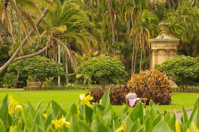 Explore the Botanical Garden & Nubian Village in Aswan. - The Sum Up