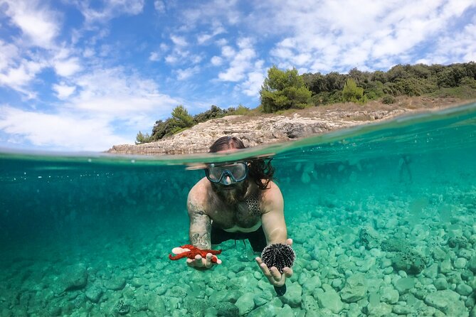 Explore the Caves and Turquoise Bays in Pula With Kayak - Booking Information