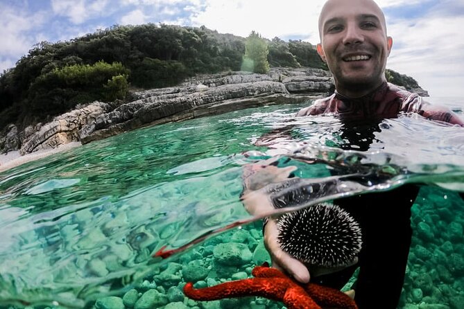 Explore the Caves and Turquoise Bays in Pula With Kayak - The Sum Up