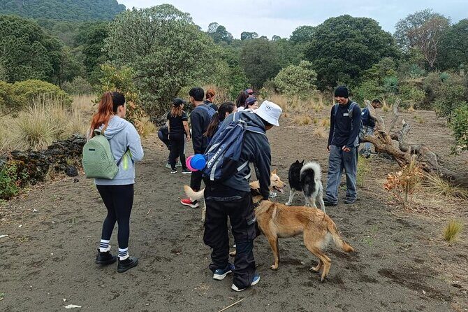 Explore the Caves of an Inactive Volcano on CDMX - The Sum Up