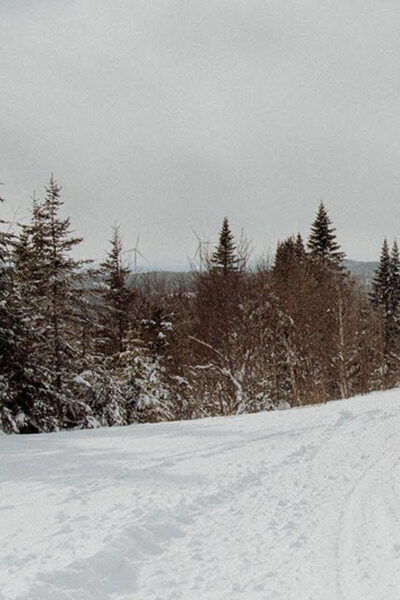 Explore the Depths of the Canadian Forest in Snowmobile - Frequently Asked Questions