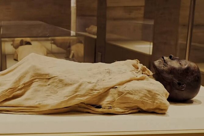 Explore The Egyptian History To Visit National Museum of Egyptian Civilization - Interactive Exhibits and Galleries