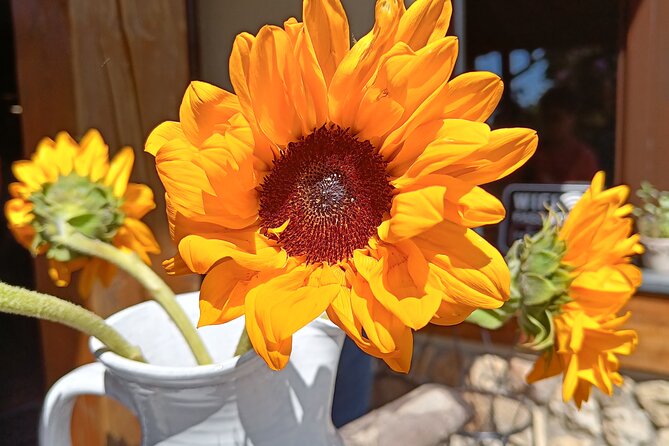 Explore The Elbe Sandstone Mountains in Czech Republic - Practical Tips for Visitors