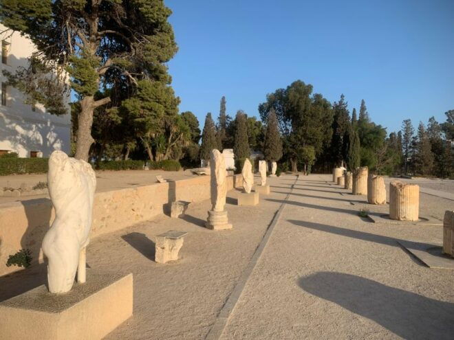 Explore the Essentials of Tunis in a Private Half Day 5 in 1 - Museum of Carthage Visit