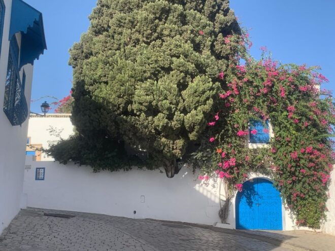 Explore the Essentials of Tunis in a Private Half Day 5 in 1 - Exploring Sidi Bou Said