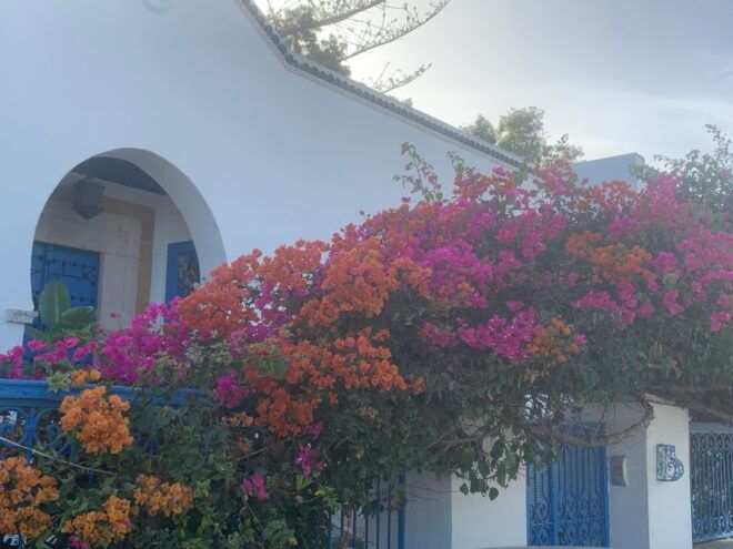 Explore the Essentials of Tunis in a Private Half Day 5 in 1 - Immersion in Tunisian Culture
