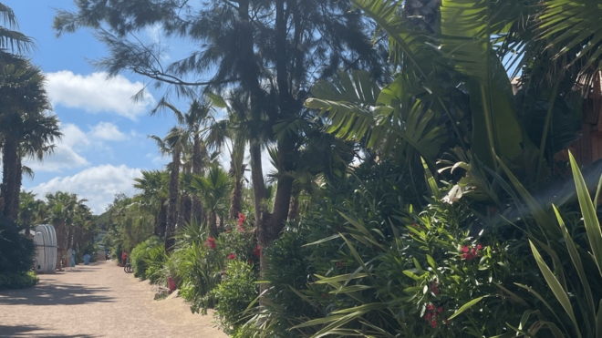 Explore the French Riviera : Nice, Monaco, and Saint-Tropez - Saint-Tropez Highlights
