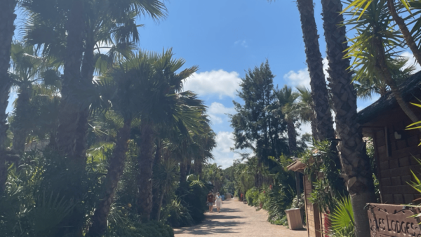 Explore the French Riviera : Nice, Monaco, and Saint-Tropez - Tour Logistics and Pricing