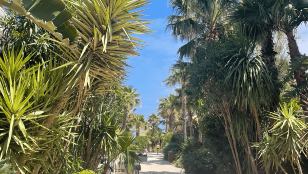 Explore the French Riviera : Nice, Monaco, and Saint-Tropez - Questions You May Have