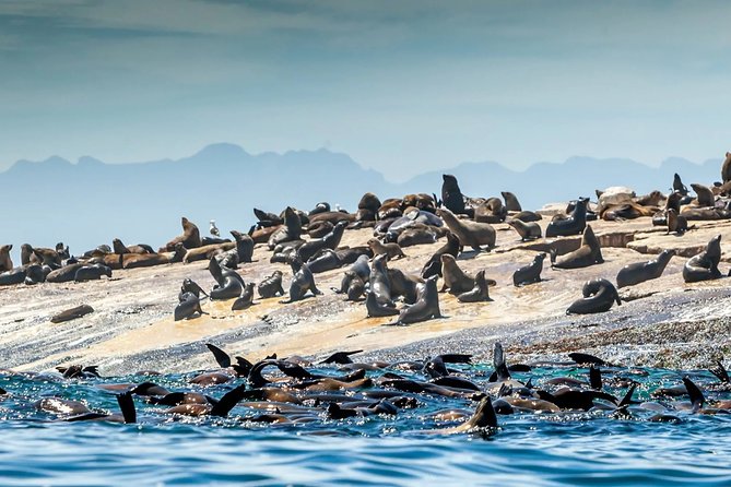 Explore the Garden Route From Cape Town - 4 Days - Cancellation Policy and Refund Details