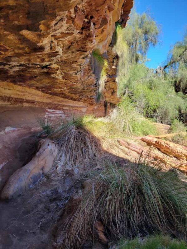 Explore the Hidden Gorges: Kalbarri N.P, 4WD, Hike, Canoe - Authentic Insights from Reviews