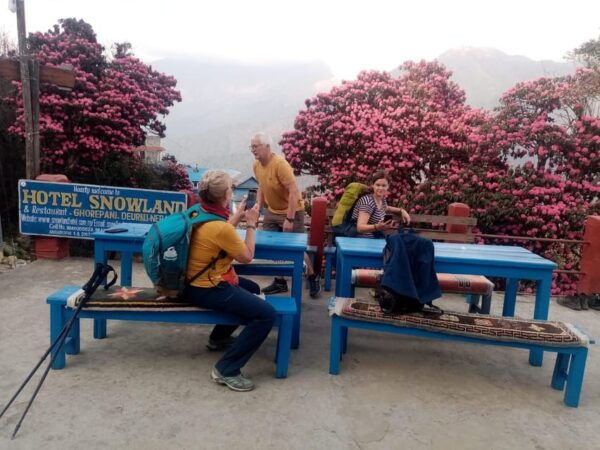 Explore the Hidden Trails: 7 Day to Khopra Hill From Pokhara - Questions You May Have
