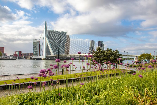 Explore the Instaworthy Spots of Rotterdam With a Local - Reviews