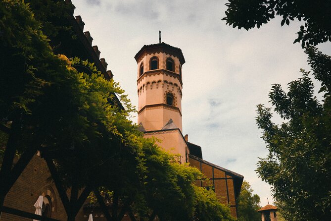 Explore the Instaworthy Spots of Turin With a Local - Tour Overview
