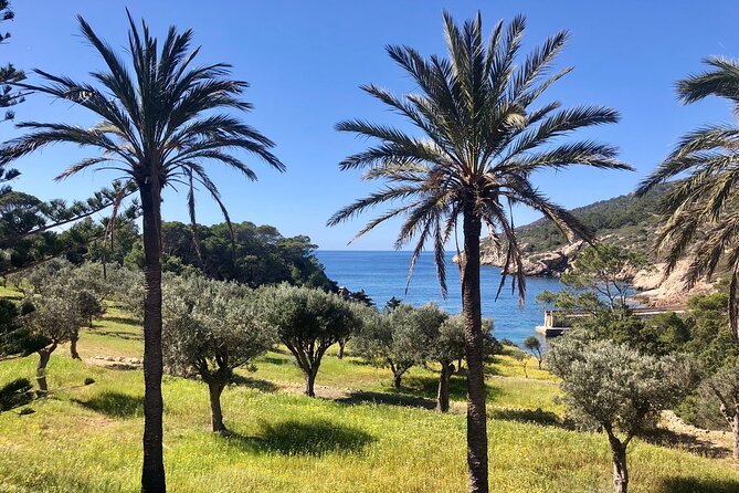 Explore the Island of Dragonera With a Kayak and by Foot - Common Questions
