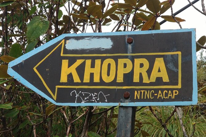 Explore the Khopra Ridge: A Stunning Trek Experience Amidst the Himalayan Beauty - Route Overview