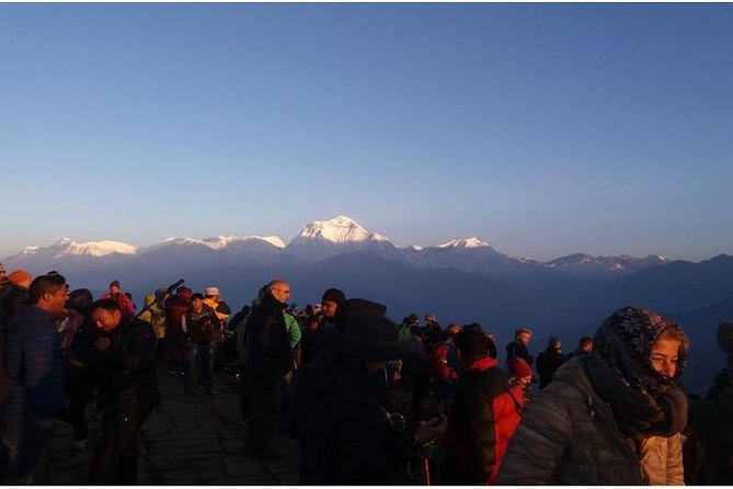 Explore the Khopra Ridge: A Stunning Trek Experience Amidst the Himalayan Beauty - Essential Gear and Packing List