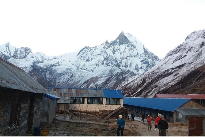 Explore the Khopra Ridge: A Stunning Trek Experience Amidst the Himalayan Beauty - Common Questions