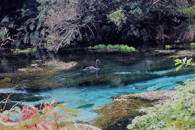 Explore The Lakes Tour - Traveler Photos