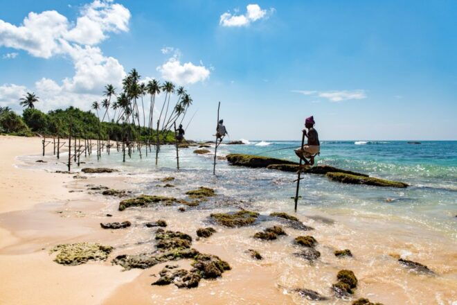 Explore the MAGIC of Sri Lanka in 7days -4 Star Hotels Incl. - Customization Options