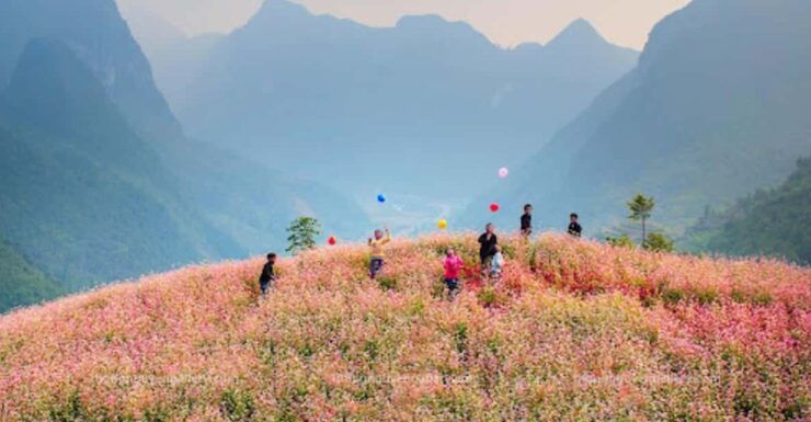 Explore the Majestic Ha Giang With Direct Bus From Ha Noi - Good To Know