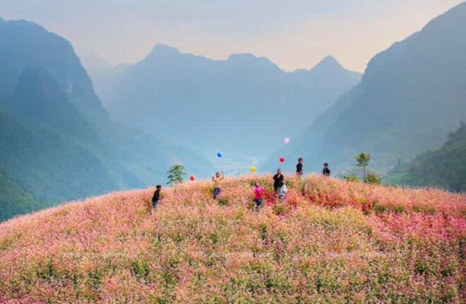 Explore the Majestic Ha Giang With Direct Bus From Ha Noi - Flexible Travel Options
