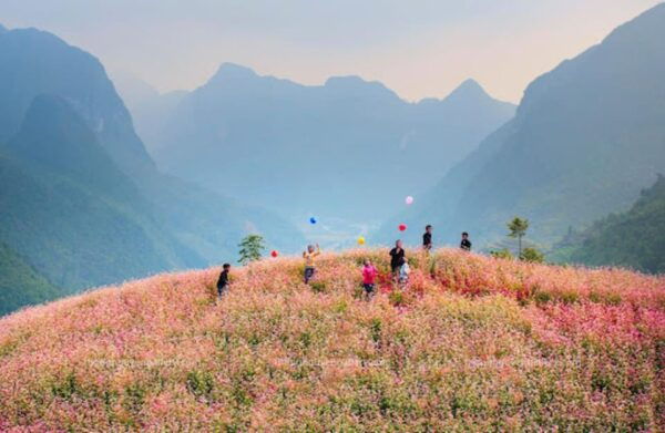 Explore the Majestic Ha Giang With Direct Bus From Ha Noi - Important Travel Information