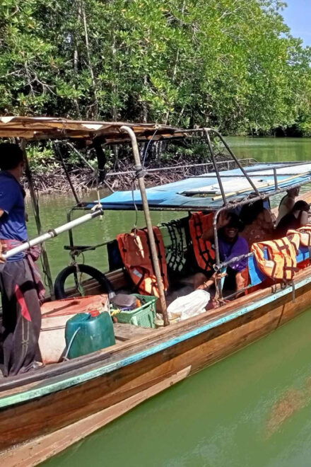 Explore the Mangroves Forest - Questions You May Have