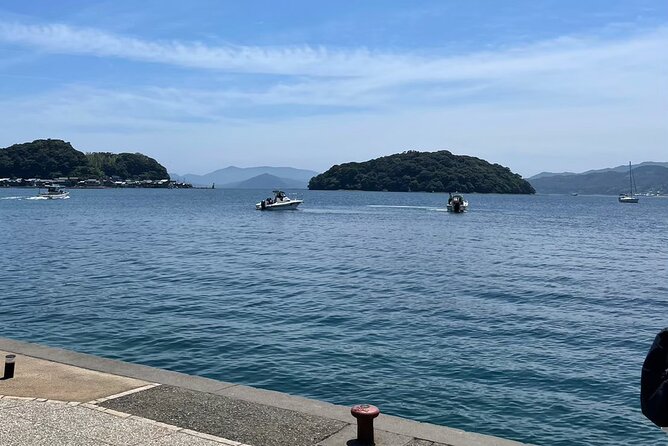 Explore the Maritime Splendors of Kyoto: A Comprehensive Sea Tour - Engaging in Water Sports and Activities