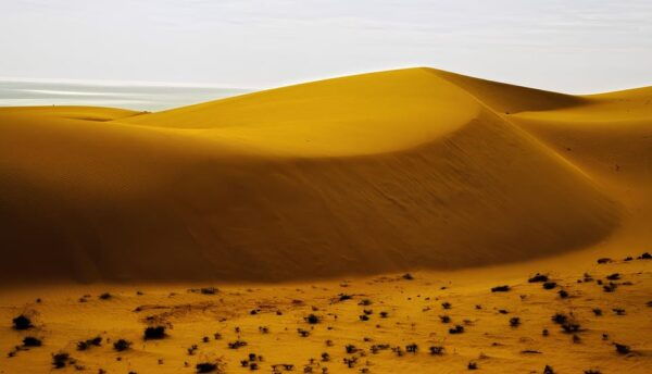 Explore the Mui Ne Sand Dunes at Sunset on a Day Trip - Frequently Asked Questions