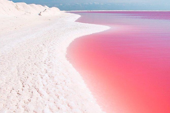 Explore the Nature: Las Coloradas & Rio Lagartos from Playa del Carmen - The Full Experience: A Day of Natural Wonders and Cultural Insights