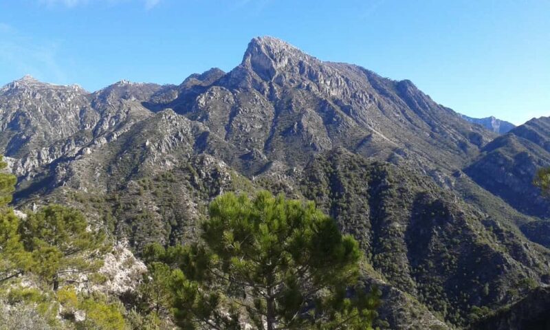 Explore the Nerja National Park nature in our open-top jeeps - Why This Tour Might Be Perfect for You