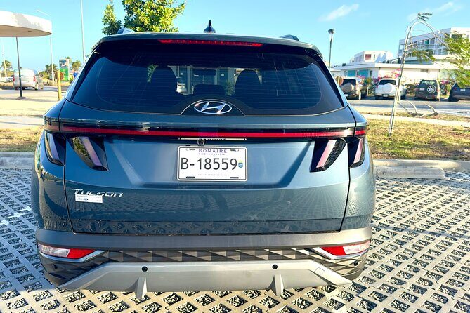 Explore the North & South of Bonaire on your own pase (Private) - The Itinerary: Discovering Bonaire at Your Own Pace