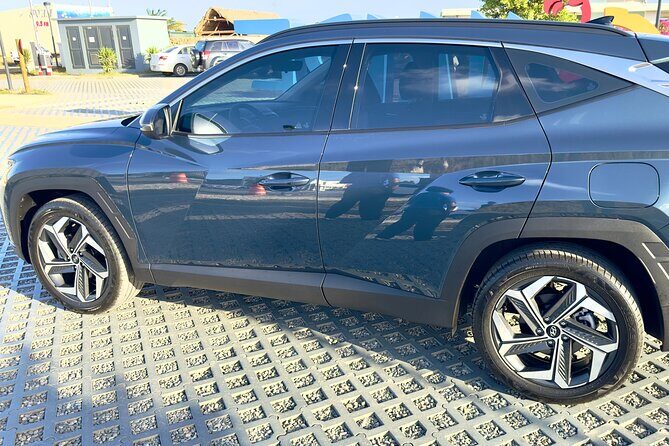 Explore the North & South of Bonaire on your own pase (Private) - Who Is This Tour Best For?