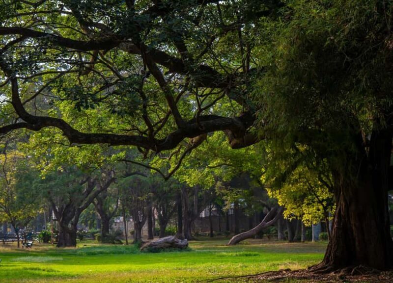 Explore the Old Bangalore City: Guided Tour with Tuktuk - Good To Know