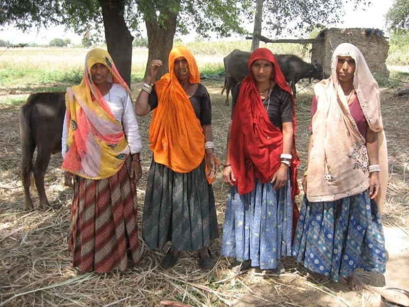 Explore the open art gallery town of Mandawa on a day tour - FAQs