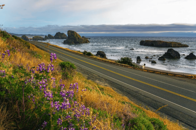 Explore the Oregon Coast: Scenic Driving Tour - Preparing for the Tour