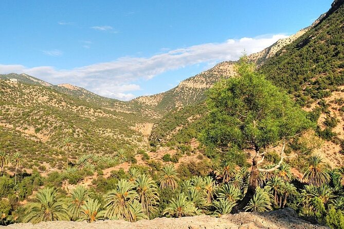 Explore the Paradise Vallez on a Guided Day Trip From Agadir - Highlights of Paradise Valley