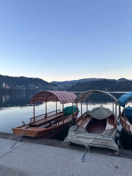 Explore the Power and Energy of Slovenia With Bookinguide - Tour Languages and Logistics