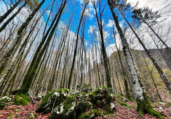 Explore the Power and Energy of Slovenia With Bookinguide - Recommended Attire and Footwear