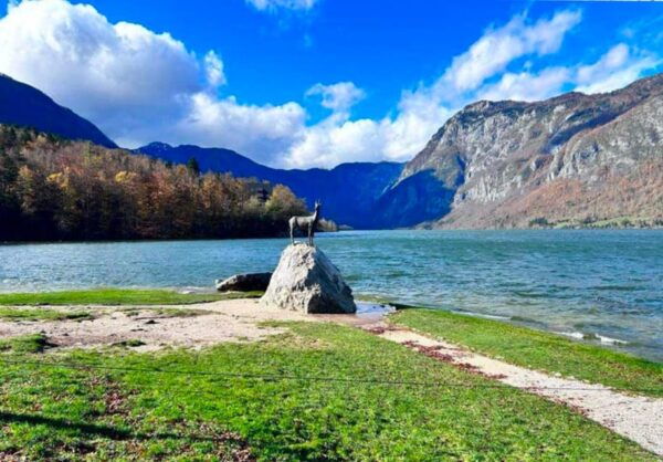 Explore the Power and Energy of Slovenia With Bookinguide - The Sum Up