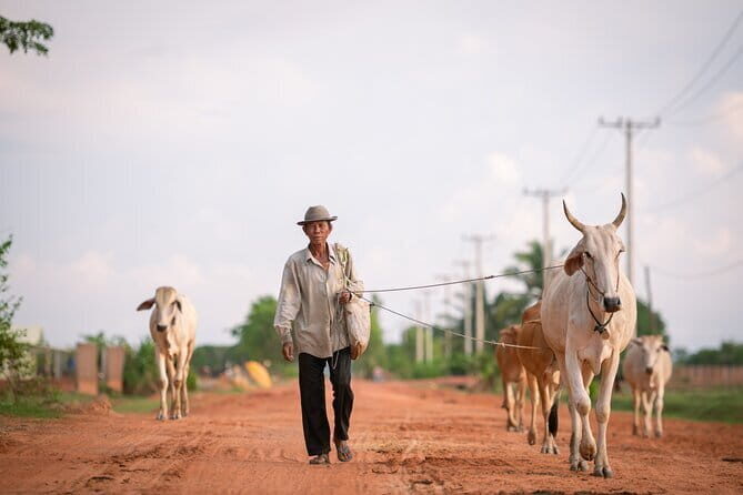 Explore the real Siem Reap Cambodia with a local guide - Good To Know