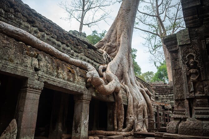 Explore the real Siem Reap Cambodia with a local guide - An In-Depth Look at the Day Tour Experience